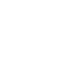 Day & NI Venue Logo